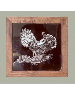 Falcon Sgraffito