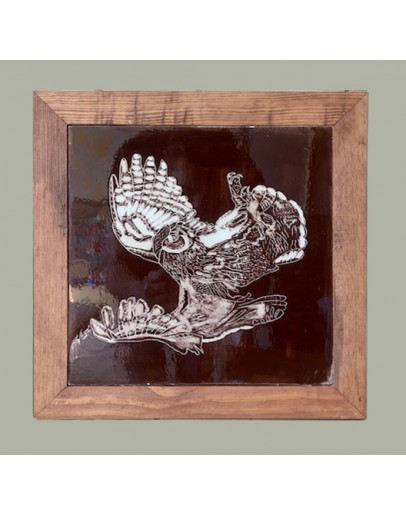 Falcon Sgraffito