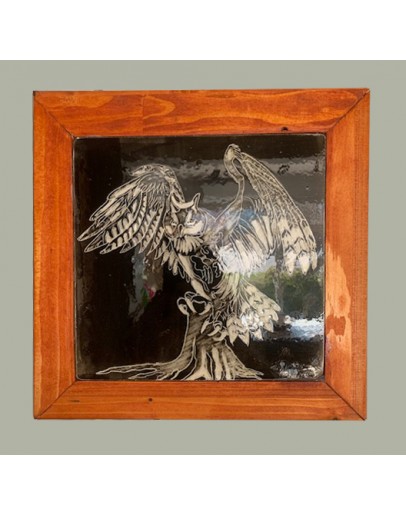 Falcon Sgraffito